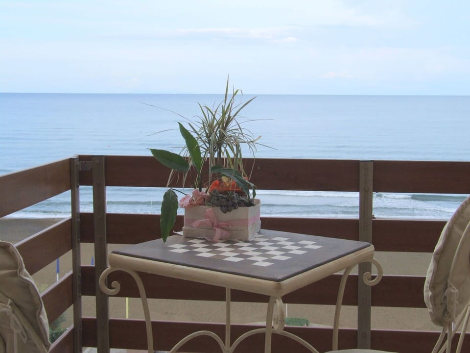 Balcony / Terrace / Patio