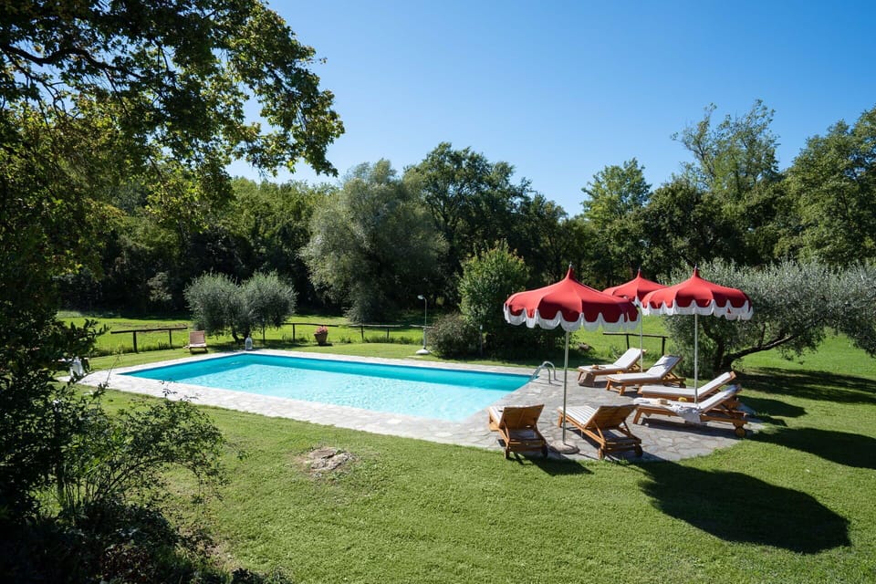 Plant, Water, Sky, Swimming Pool, Shade, Umbrella, Tree, Building, Outdoor Furniture, Chair