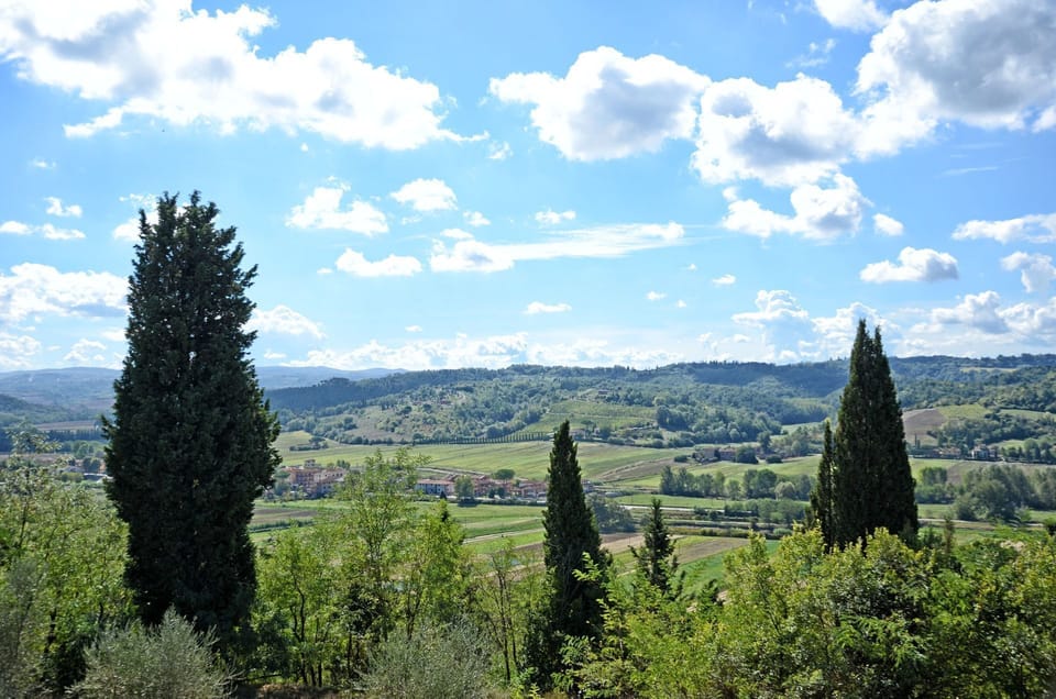 Scenic View