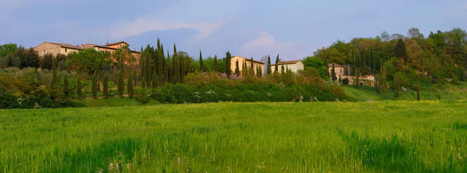 Vista Panoramica