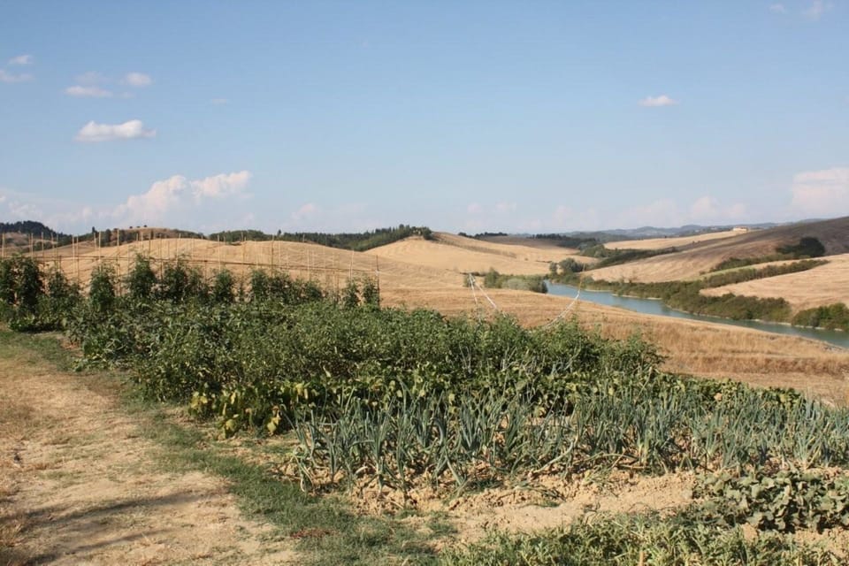 Scenic View