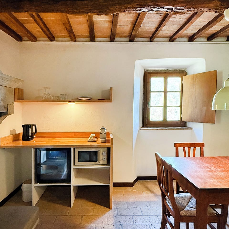 Deluxe Suite, 1 Queen Bed with Sofa bed | Private kitchenette | Mini-fridge, microwave, espresso maker, coffee/tea maker