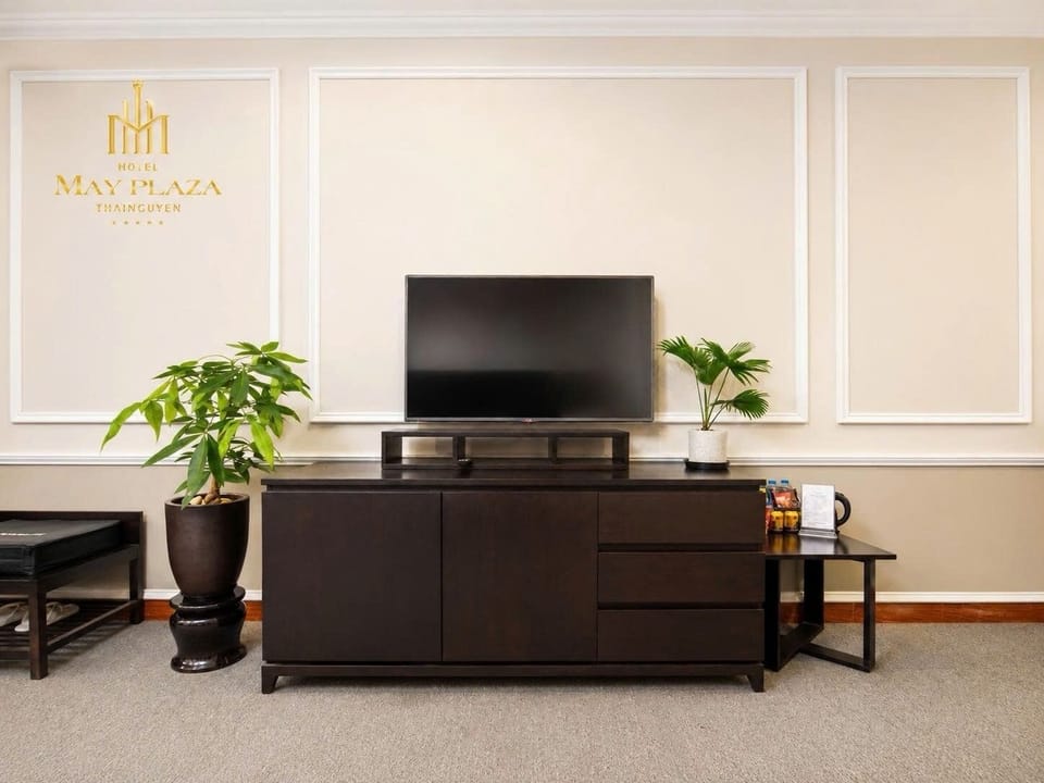 VIP Room			 | Television