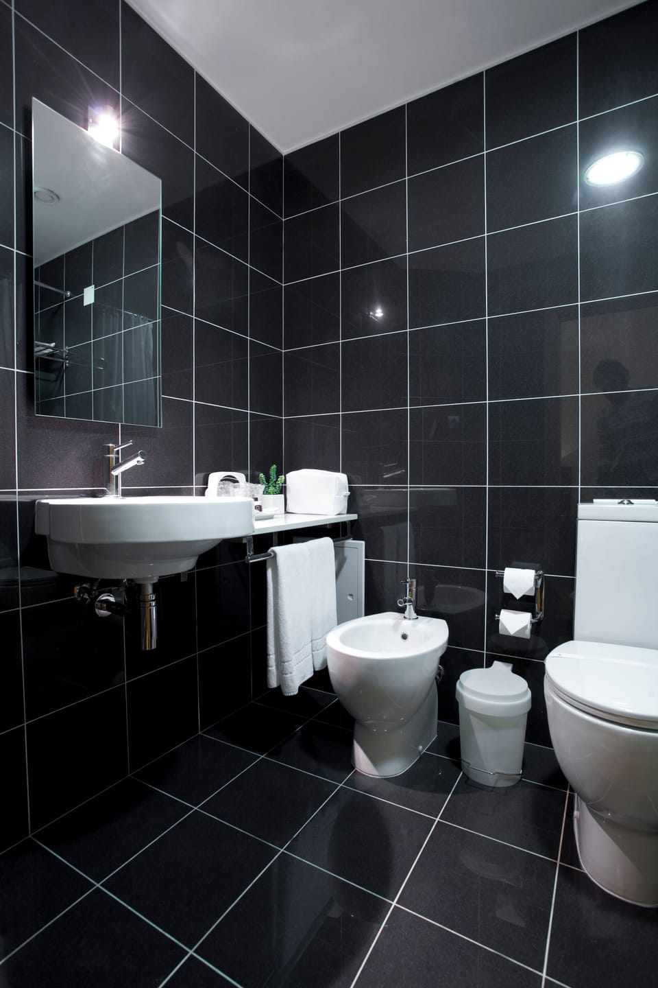 Rainfall showerhead, free toiletries, hair dryer, bidet