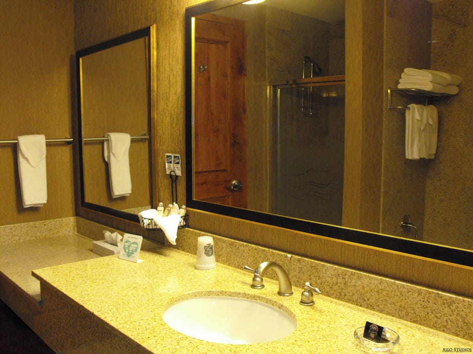 Deluxe Room, 1 King Bed (Business Suite) | Bathroom | Combined shower/tub, hair dryer, towels, soap