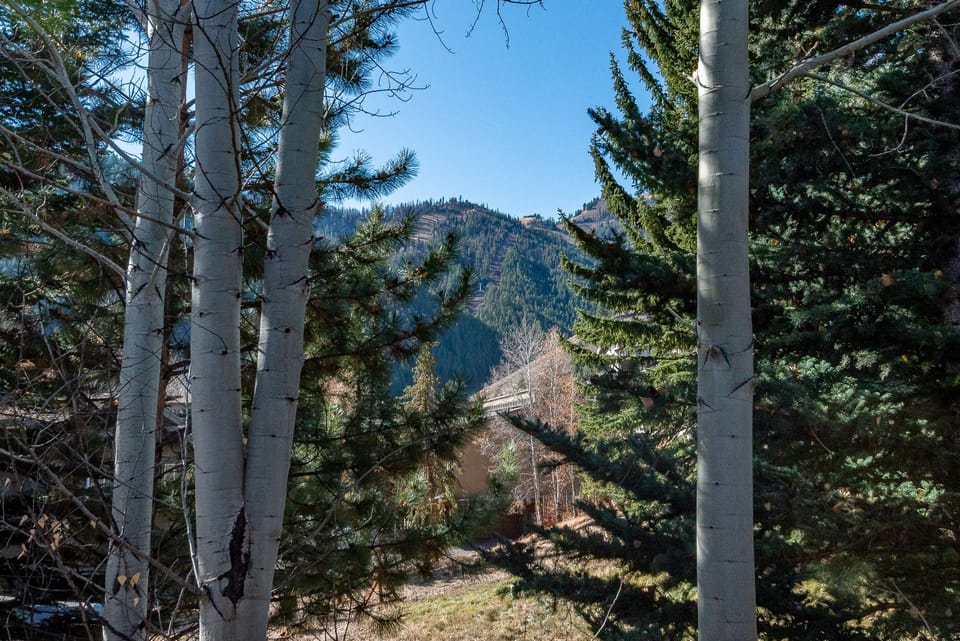 Baldy Views from Deck