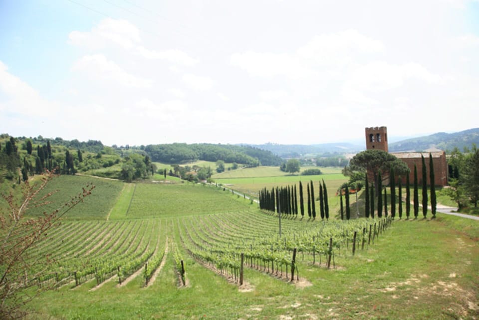 Scenic View