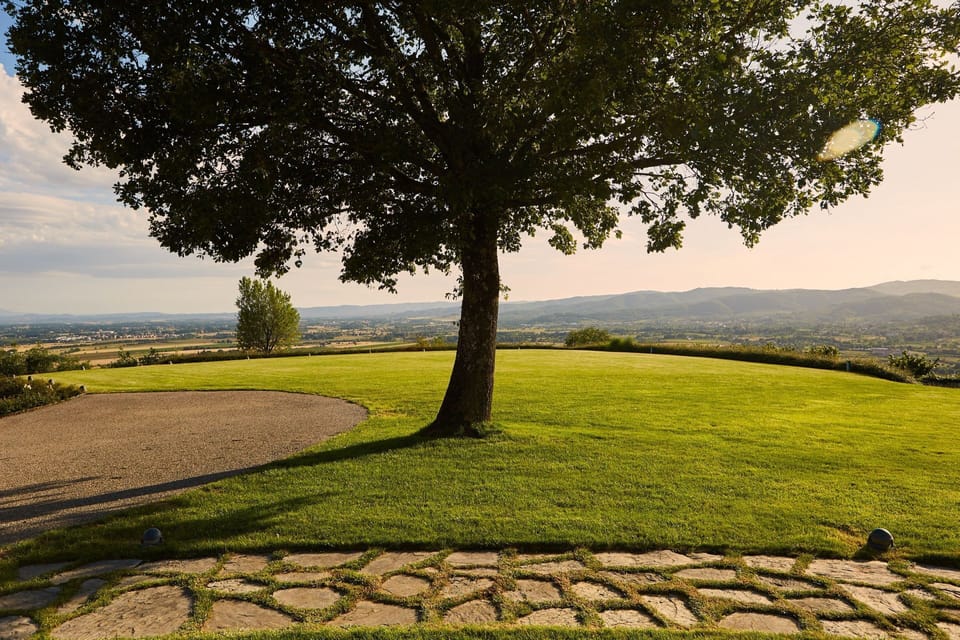 Garden, Scenic View