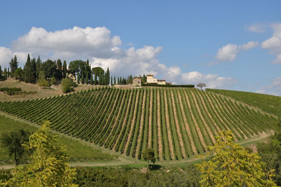 Scenic View