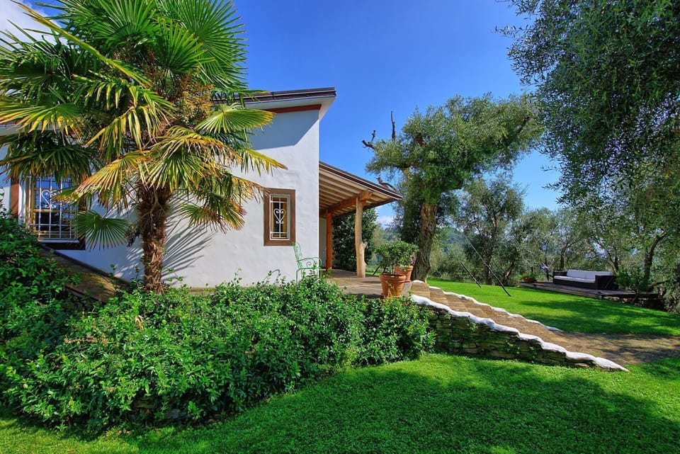 Garden, Outdoor