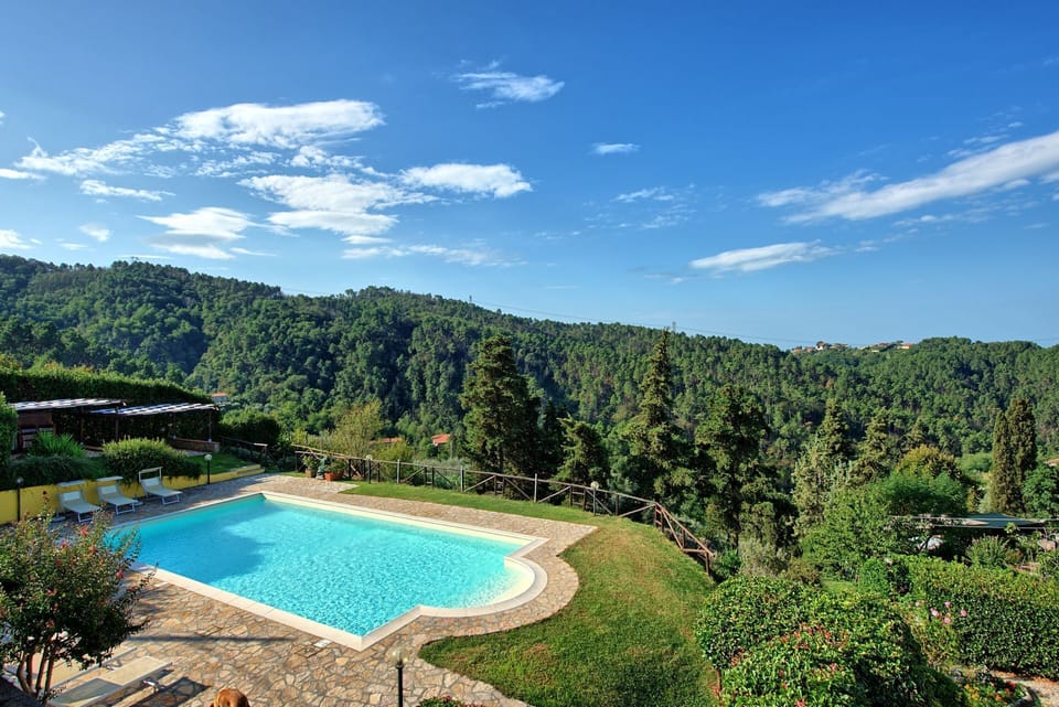 Pool, Scenic View