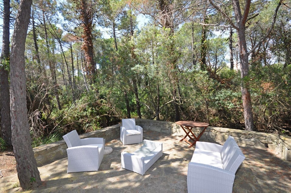Garden, Outdoor