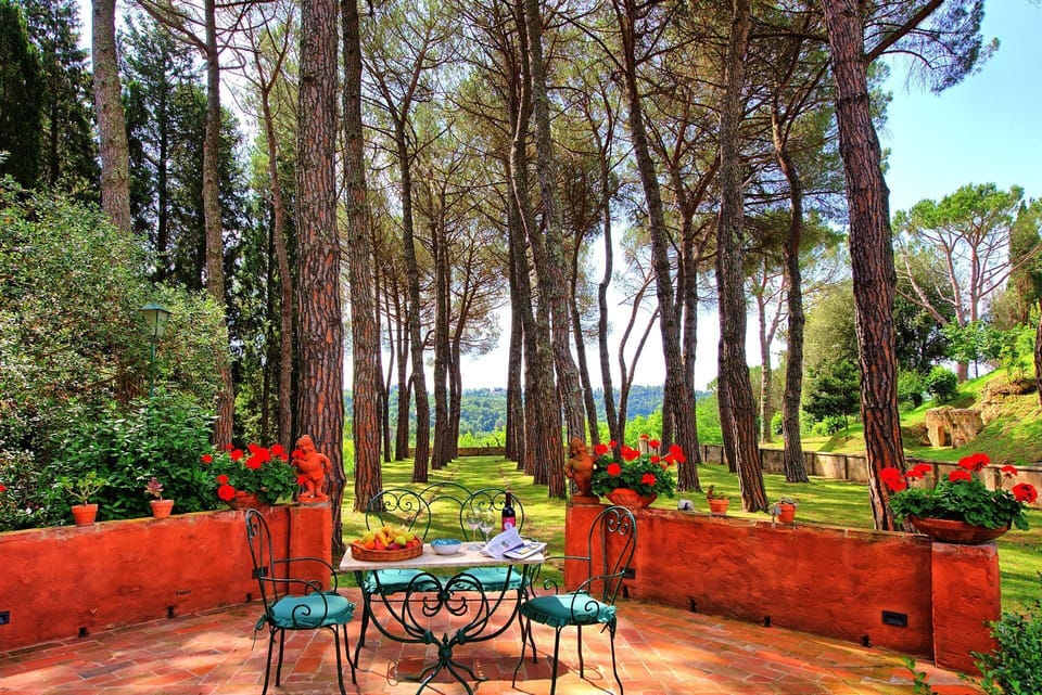 Garden, Outdoor