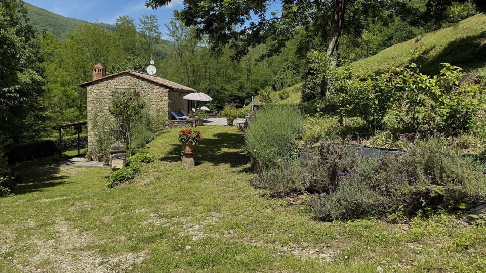 Shrub, Cottage, Rural Area, Garden, Backyard, Landscaping, Yard, Lawn, Farmhouse