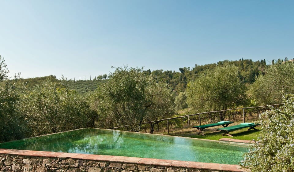 Pool, Scenic View
