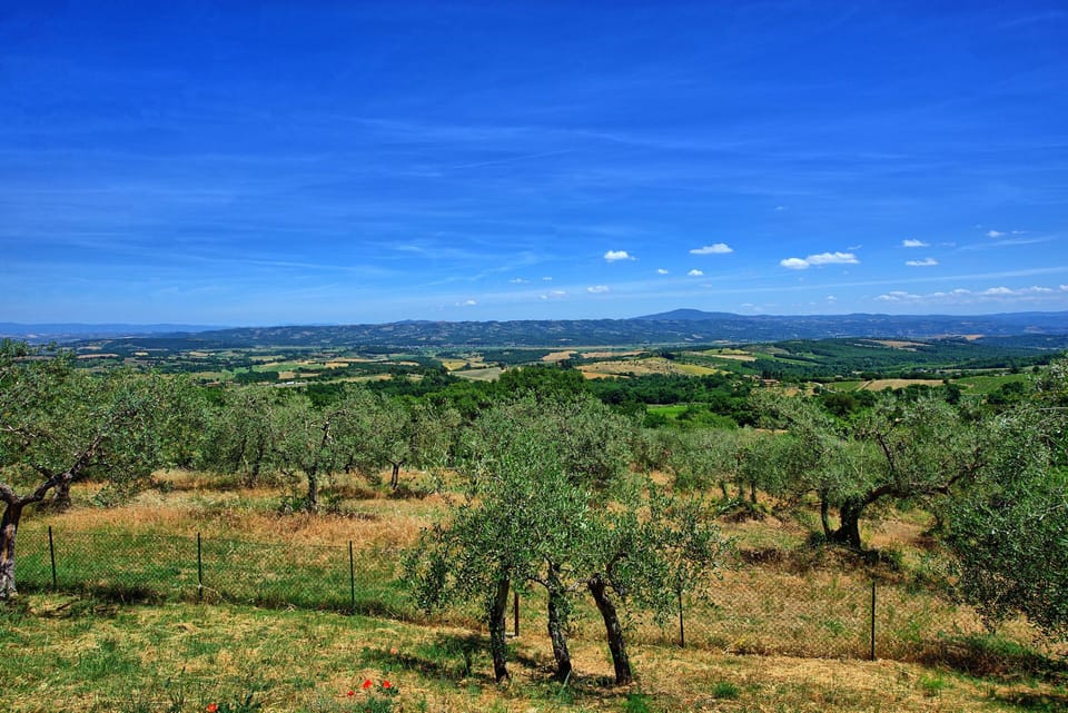 Scenic View