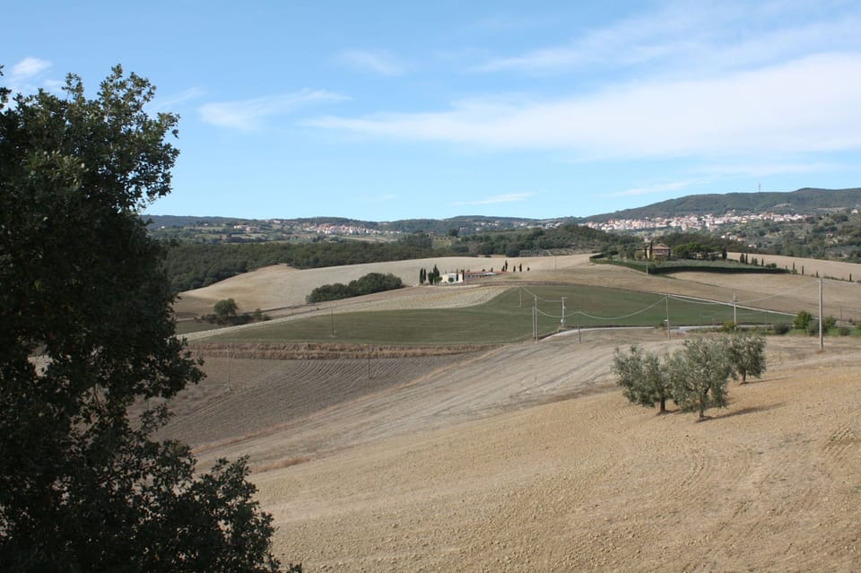 Scenic View