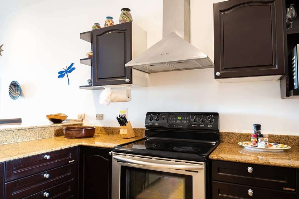 Gourmet kitchen, fully stocked