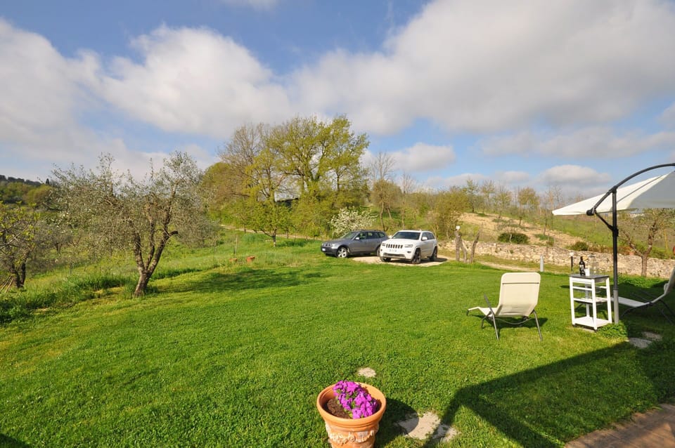 Garden, Scenic View