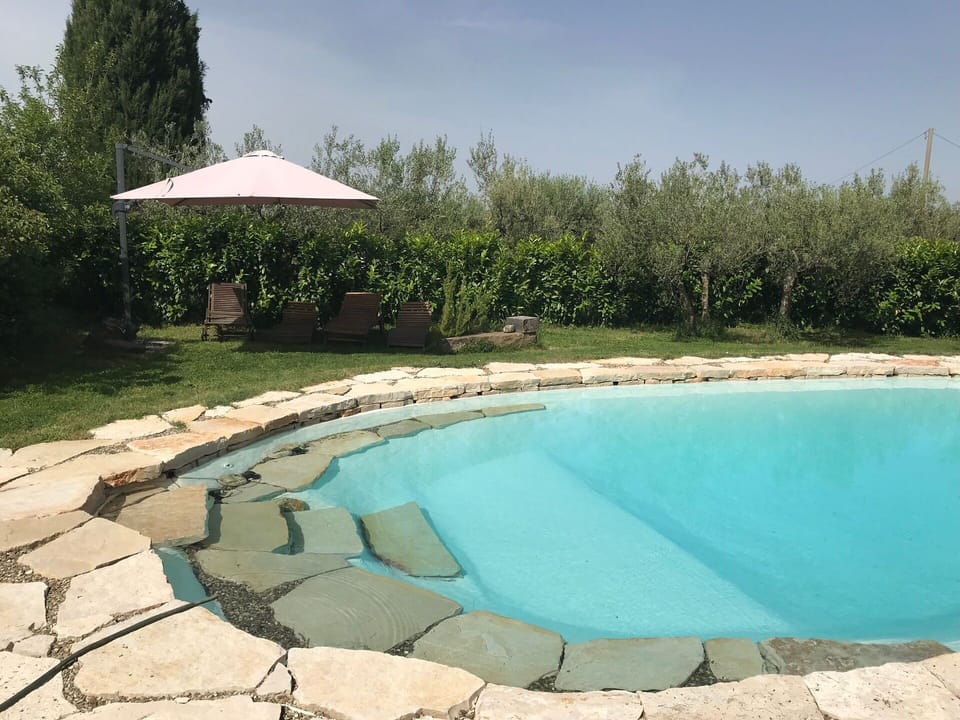 Garden, Outdoor, Pool