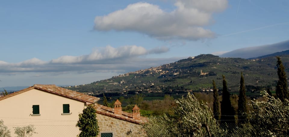 Panoramic view