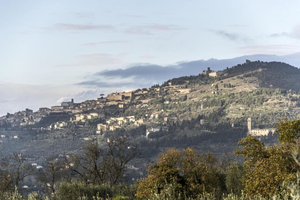 Panoramic view