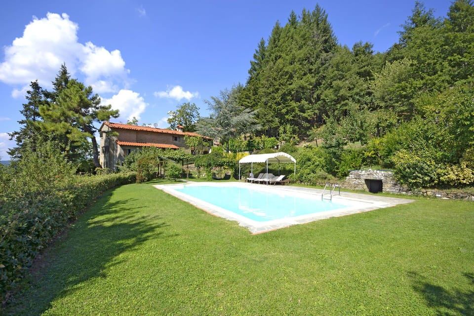 Swimming pool and garden