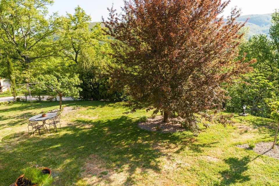 Plant, Plant Community, Green, Branch, Natural Landscape, Land Lot, Vegetation, Tree, Grass, Shade