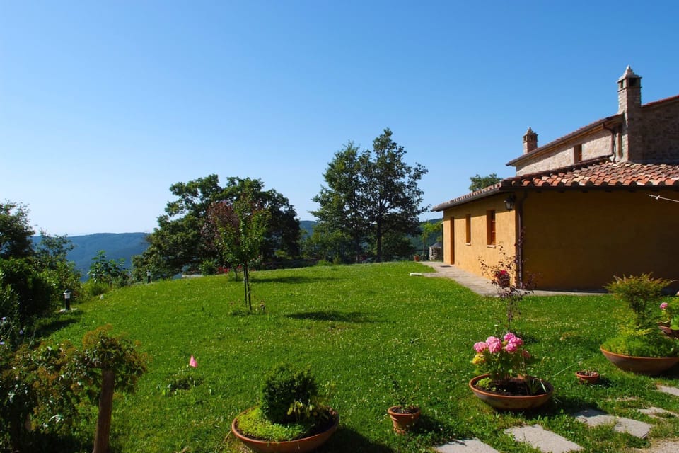 Sky, Plant, Property, Window, Building, Flowerpot, Tree, Flower, Natural Landscape, Land Lot