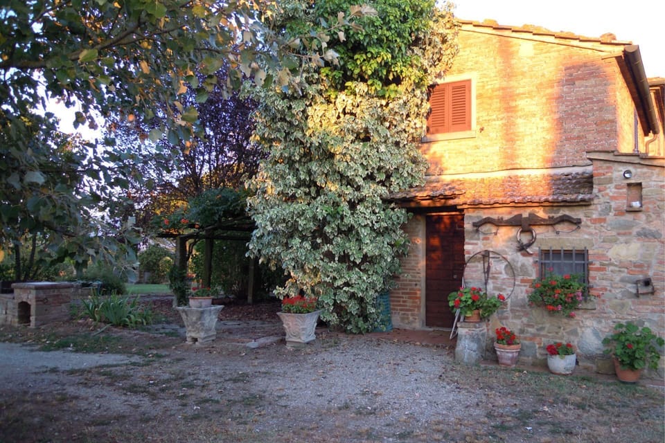 Plant, Building, Window, Flowerpot, Leaf, Vegetation, Road Surface, House, Biome, Tree