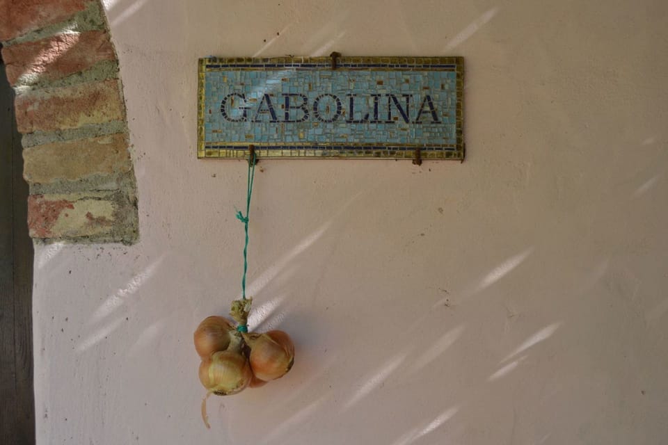Wall, Room, Signage, Plant