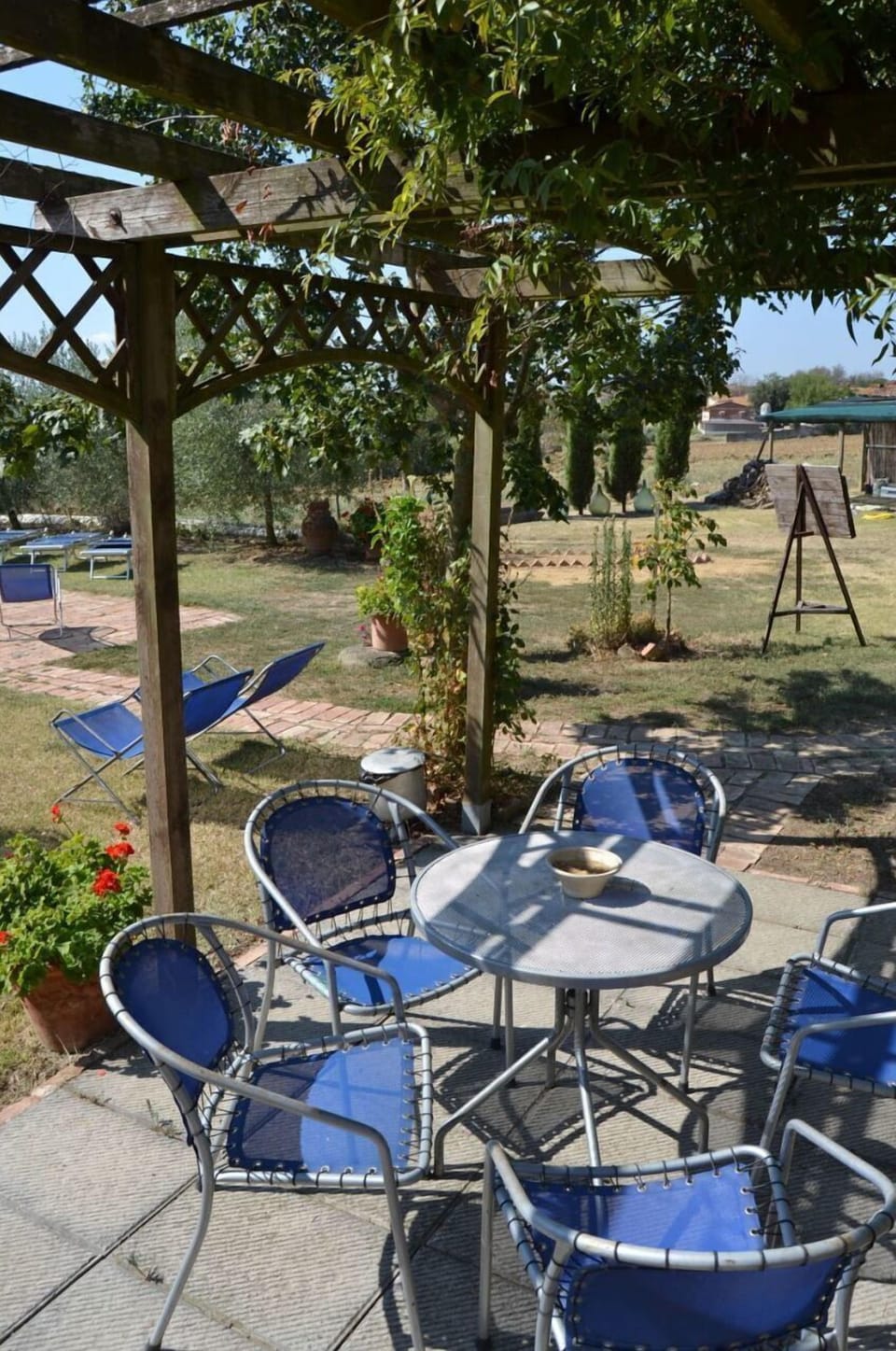 Plant, Chair, Tree, Shade, Outdoor Furniture, Table, Outdoor Table, Landscape, Arecales, Folding Chair