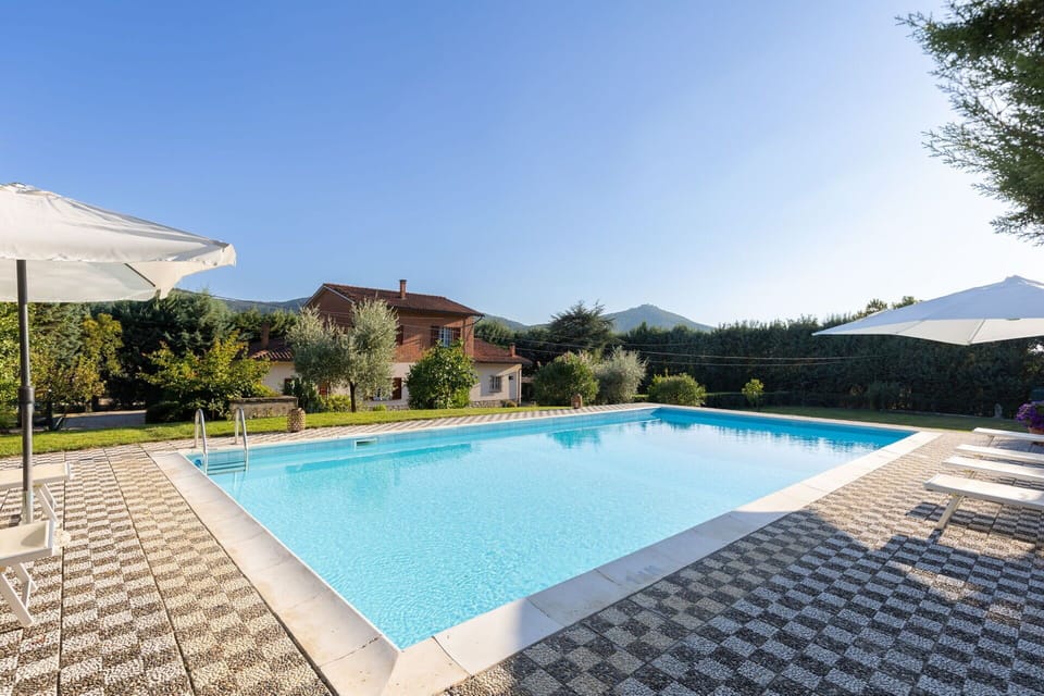 Swimming pool and outdoor view