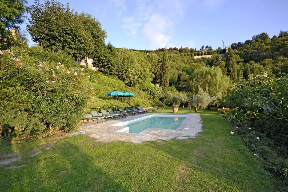 Swimming pool and garden