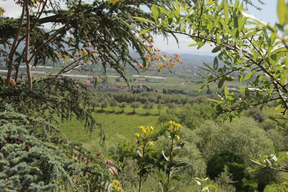 Outdoor, Scenic View