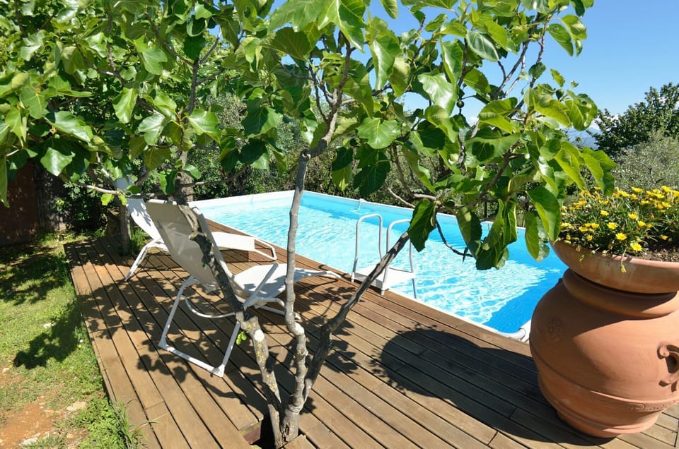 Balcony / Terrace / Patio, Garden, Pool