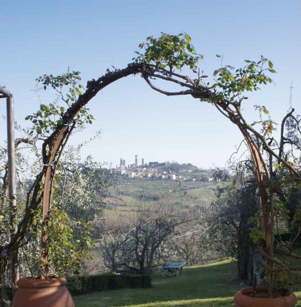 the view from the garden