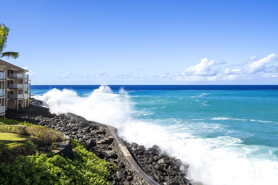Ocean front location. View from the unit.