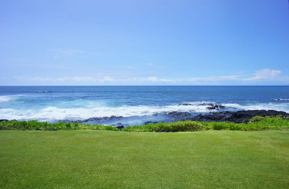 Oceanfront grassy lounge area in front of the pool