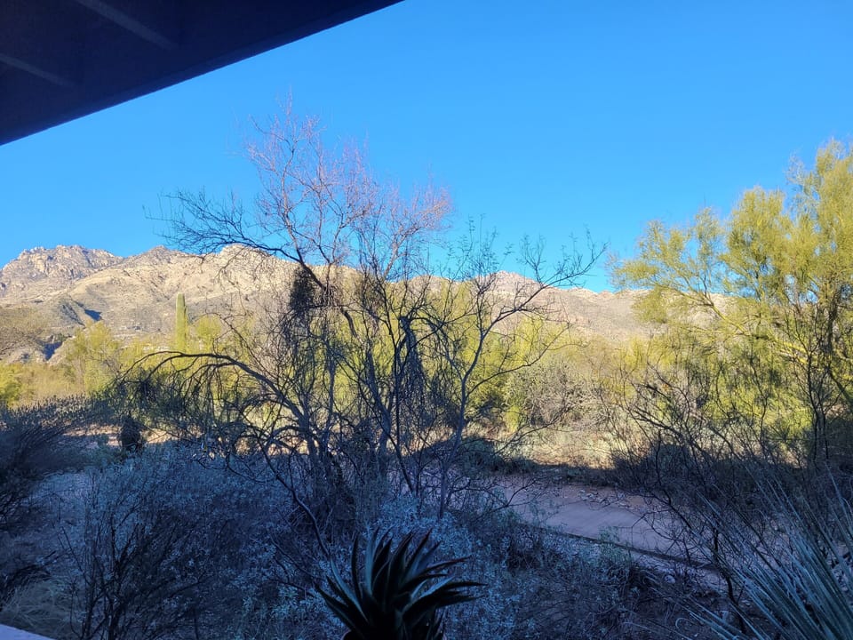View from property