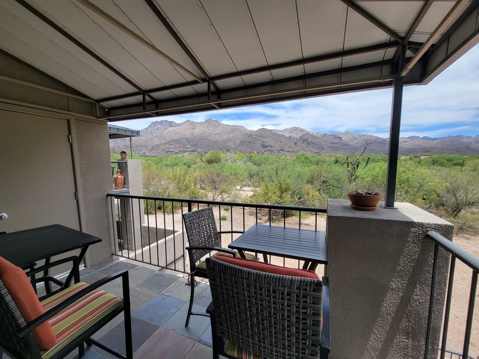 Patio View