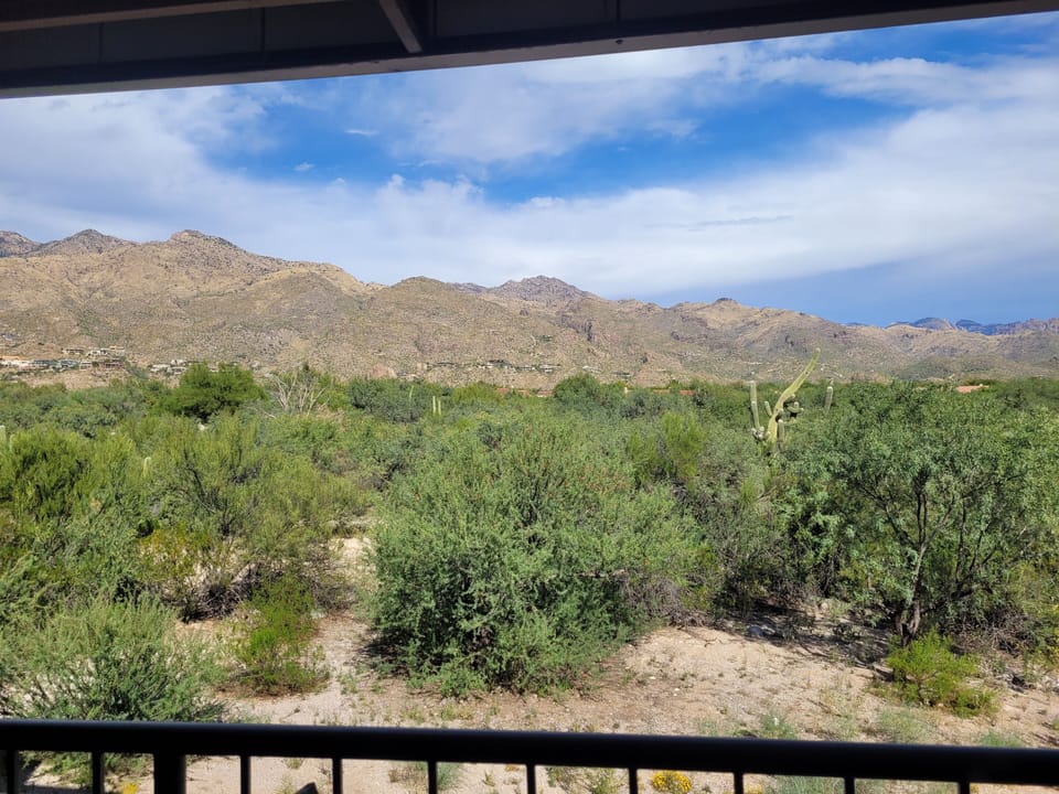 View from property