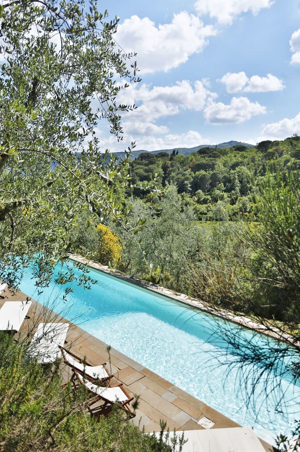 Pool, Scenic View