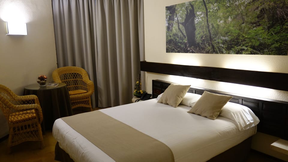 Standard Double Room | Desk, free WiFi, bed sheets
