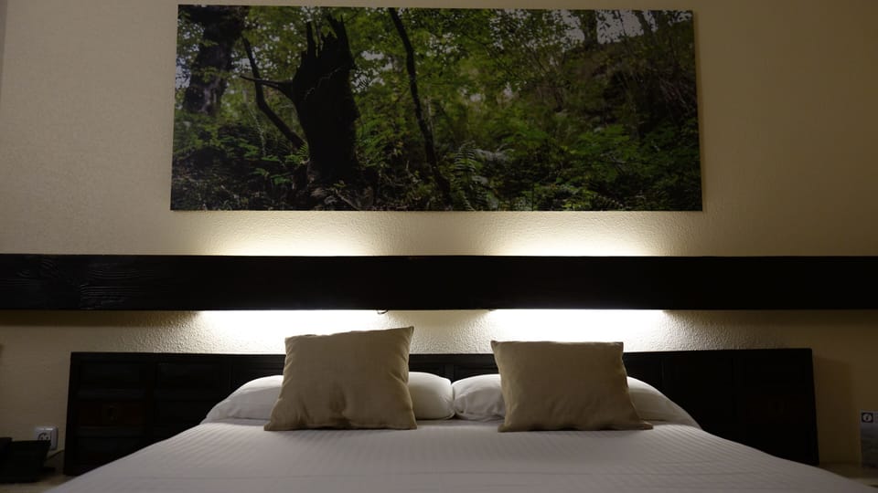 Standard Double Room | Desk, free WiFi, bed sheets