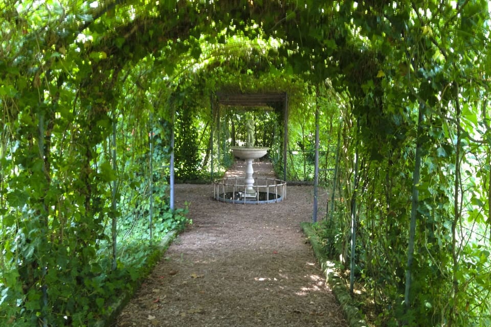 Garden, Lawn, Landscaping, Shade, Outdoor Furniture, Park, Hacienda, Estate, Yard, Eco Hotel