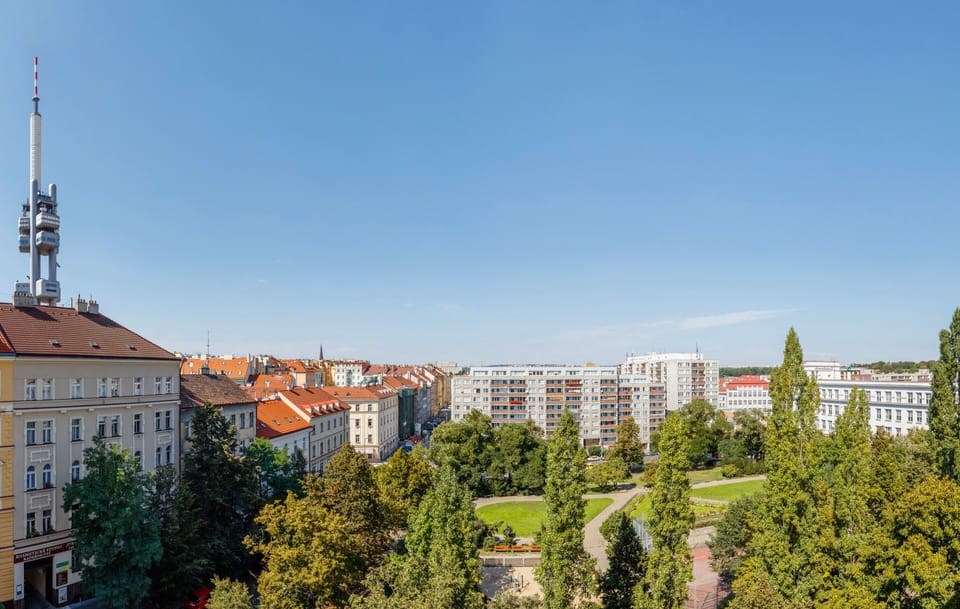 View from the Apartment