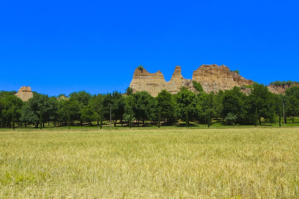 Grassland, Ecoregion, Plain, Terrain, Prairie, Outcrop, Field, Steppe, Pasture