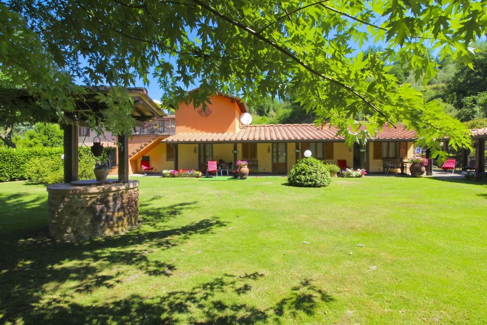 House, Land Lot, Garden, Lawn, Roof, Shade, Cottage, Spring, Hacienda, Backyard
