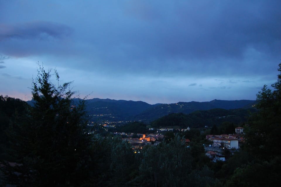 Panoramic view